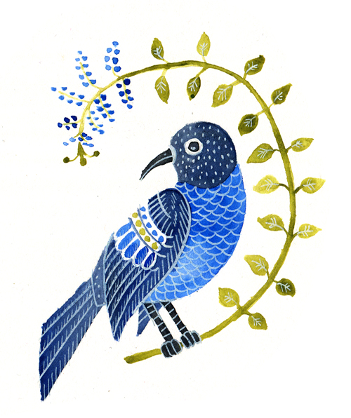 modrý ptáček copy