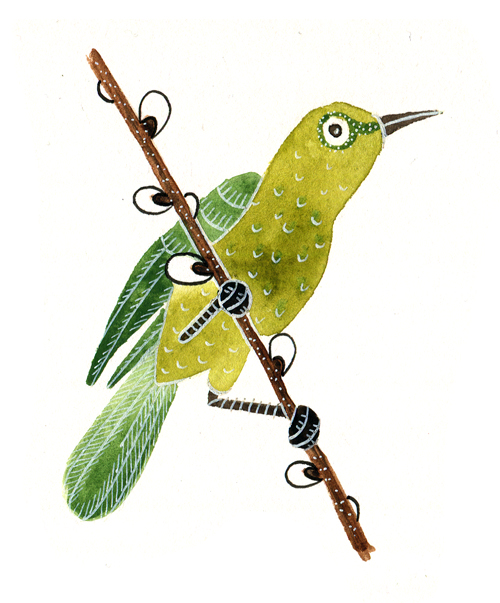 zelený ptáček copy