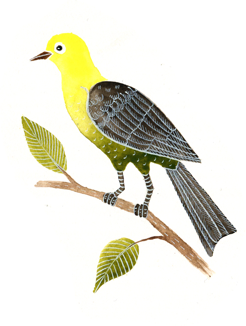 žlutý ptáček copy